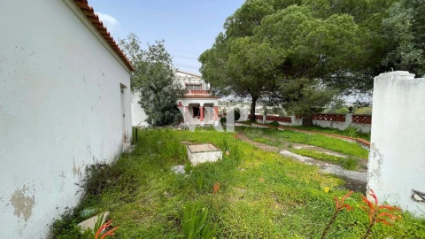 Terreno para Venda em Quarteira