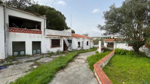 Terreno para Venda em Quarteira