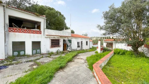 Terreno para Venda em Quarteira