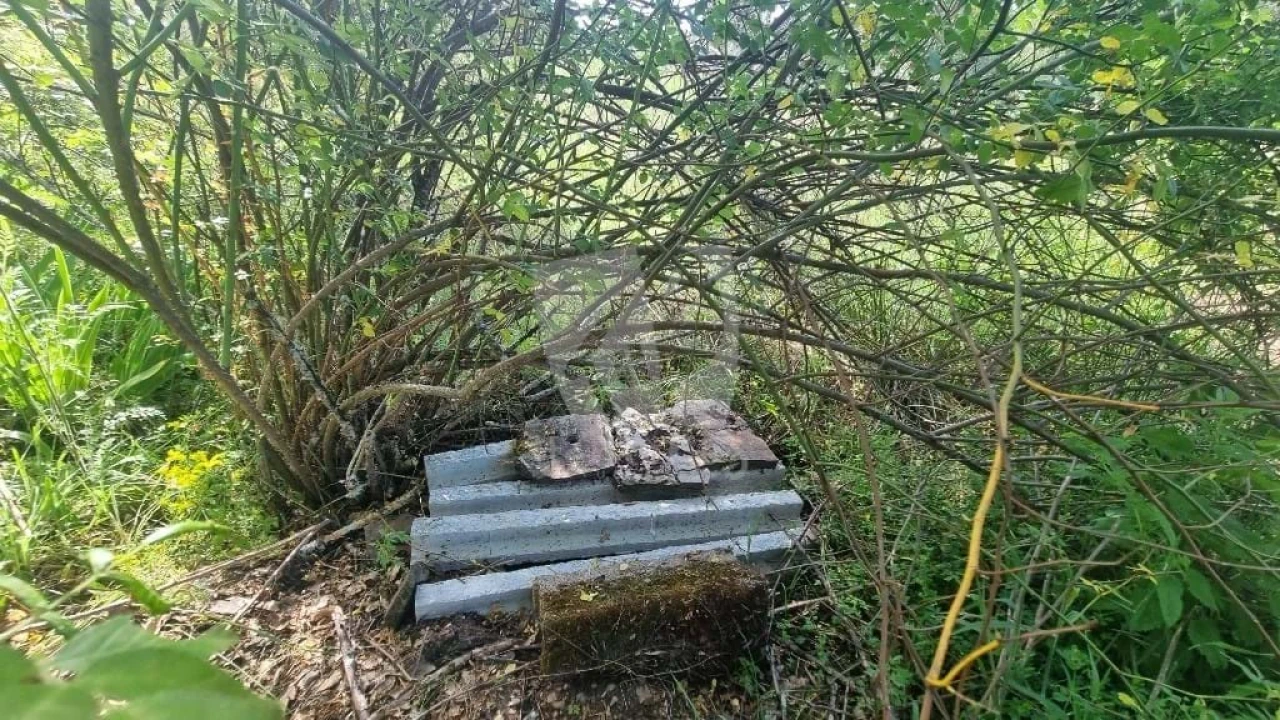 Terreno Agricola ou Rústico para Venda em Santo Andre das Tojeiras Foto 9