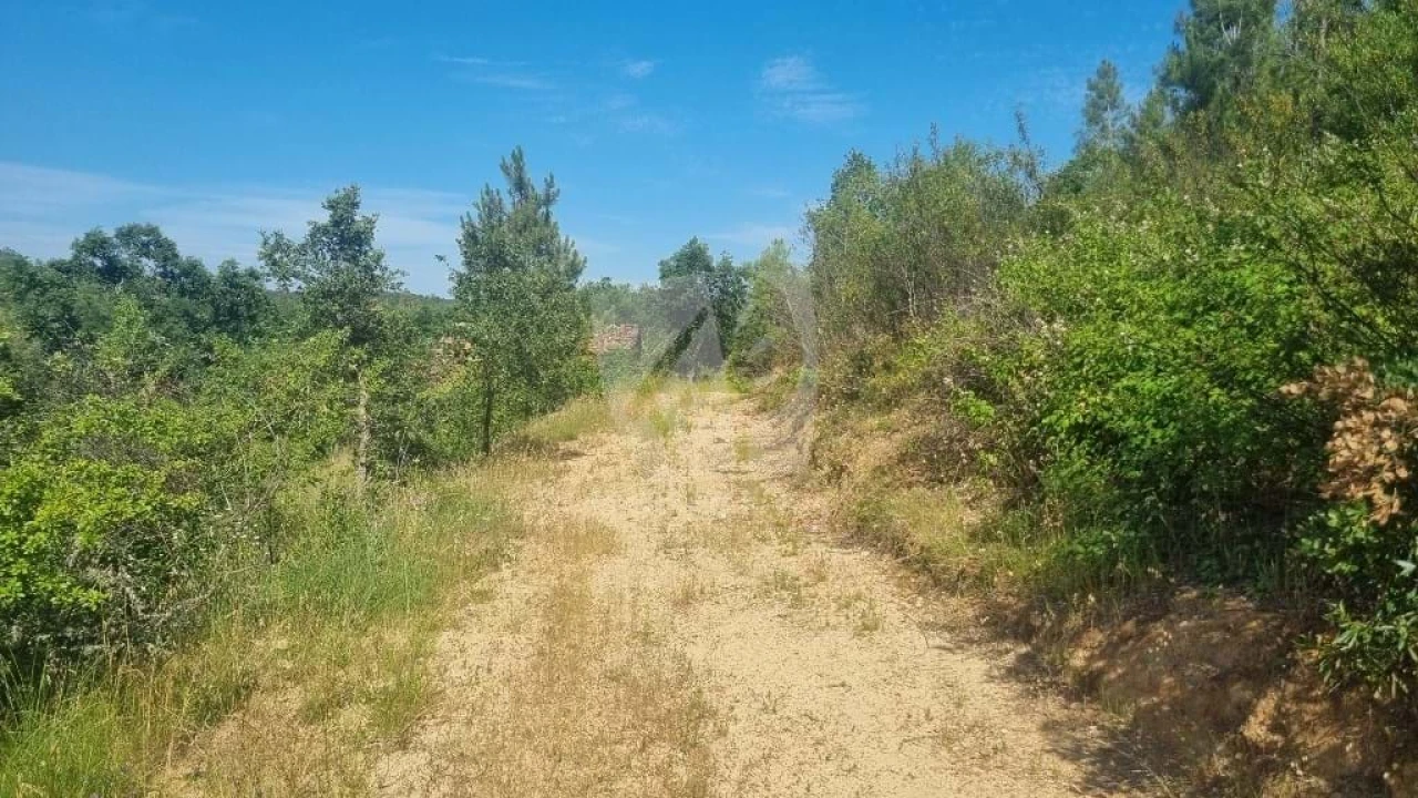 Terreno Agricola ou Rústico para Venda em Santo Andre das Tojeiras Foto 12