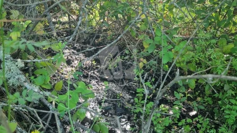 Terreno Agricola ou Rústico para Venda em Santo Andre das Tojeiras