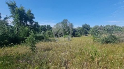 Terreno Agricola ou Rústico para Venda em Santo Andre das Tojeiras