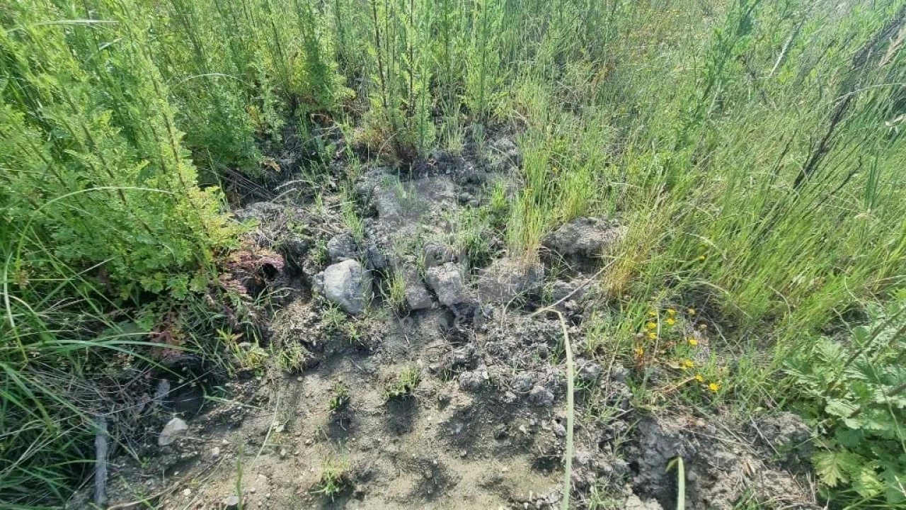 Terreno Agricola ou Rústico para Venda em Santo Andre das Tojeiras Foto 10
