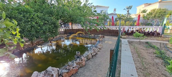 Negócio para Venda em Albufeira e Olhos de Água