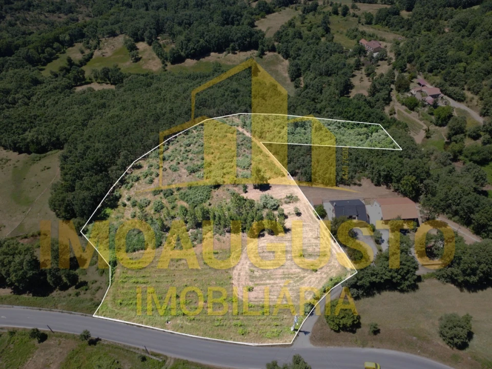 Terreno para Venda em Sabugal e Aldeia de Santo António Foto 2