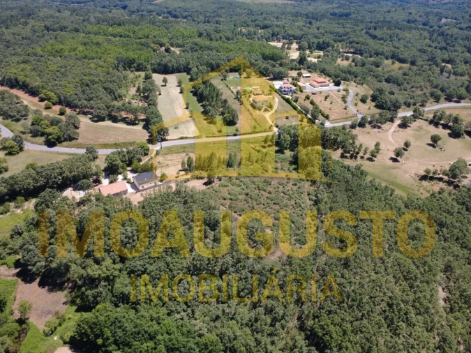 Terreno para Venda em Sabugal e Aldeia de Santo António Foto 3