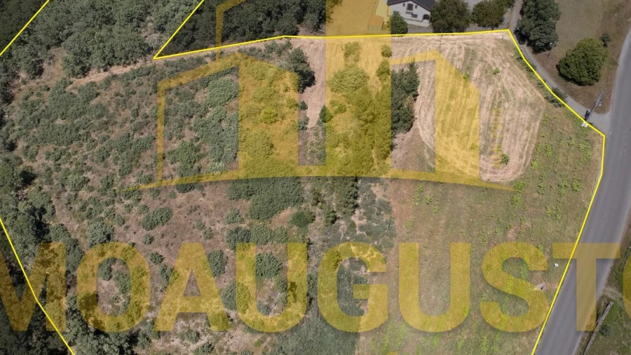 Terreno para Venda em Sabugal e Aldeia de Santo António