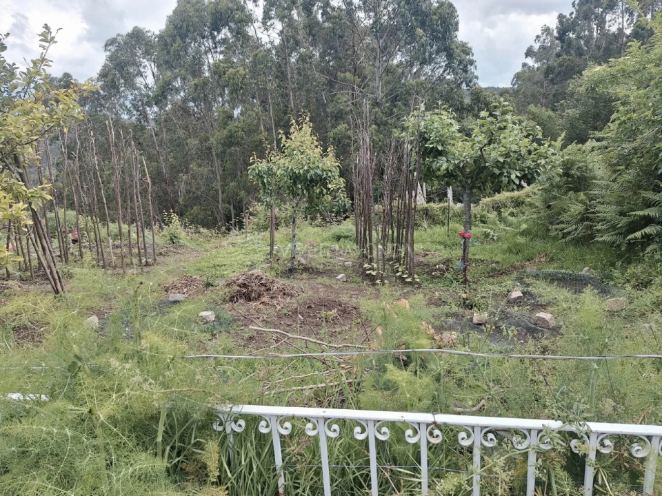 Armazém para Venda em Ermesinde Foto 21
