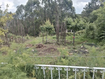 Armazém para Venda em Ermesinde
