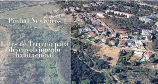 Terreno para Venda em Azeitão (São Lourenço e São Simão)