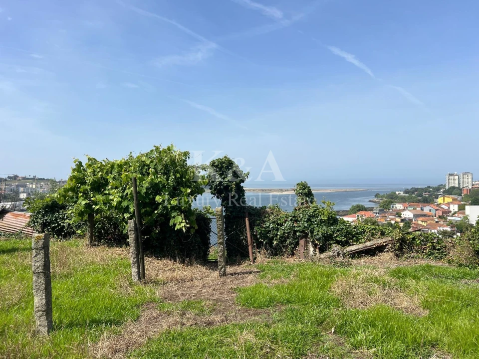 Terreno para Venda em Lordelo do Ouro e Massarelos Foto 5