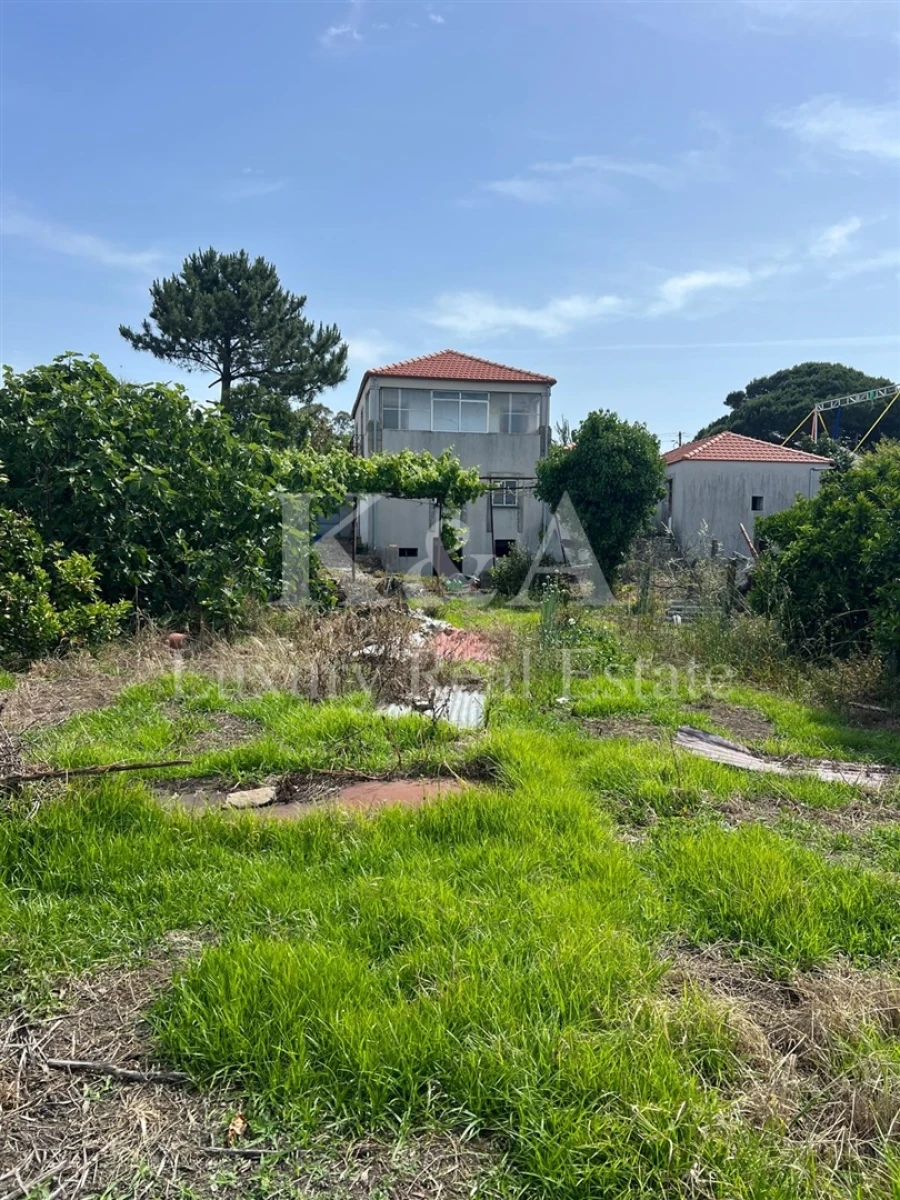 Terreno para Venda em Lordelo do Ouro e Massarelos Foto 4
