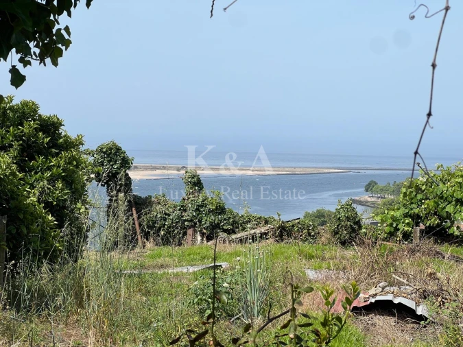 Terreno para Venda em Lordelo do Ouro e Massarelos Foto 6