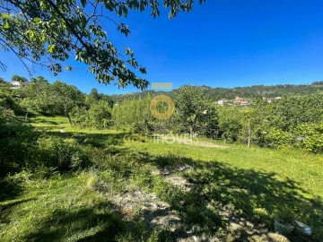 Terreno Agricola ou Rústico para Venda em Santiago de Piães