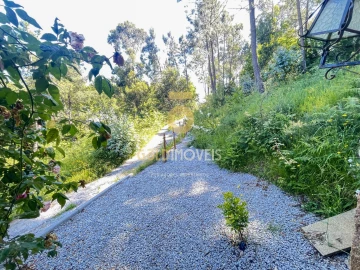 Terreno Agricola ou Rústico para Venda em Santiago de Piães