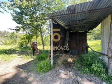 Terreno Agricola ou Rústico para Venda em Santiago de Piães