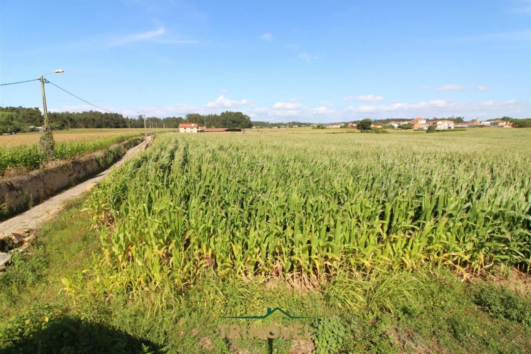Terreno para Venda em Valega Foto 1