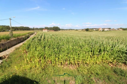 Terreno para Venda em Valega