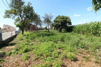 Terreno para Venda em Valega