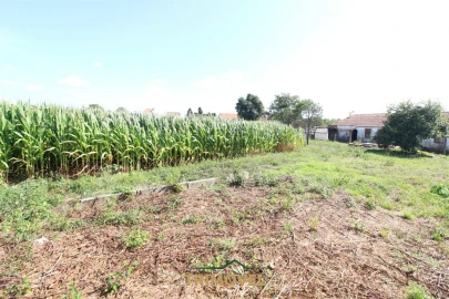 Terreno para Venda em Valega