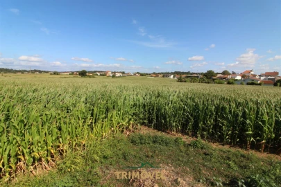 Terreno para Venda em Valega
