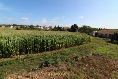 Terreno para Venda em Valega