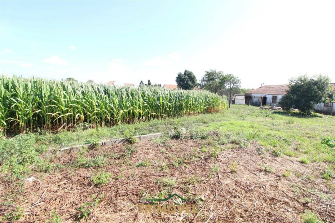 Terreno para Venda em Valega Foto 16