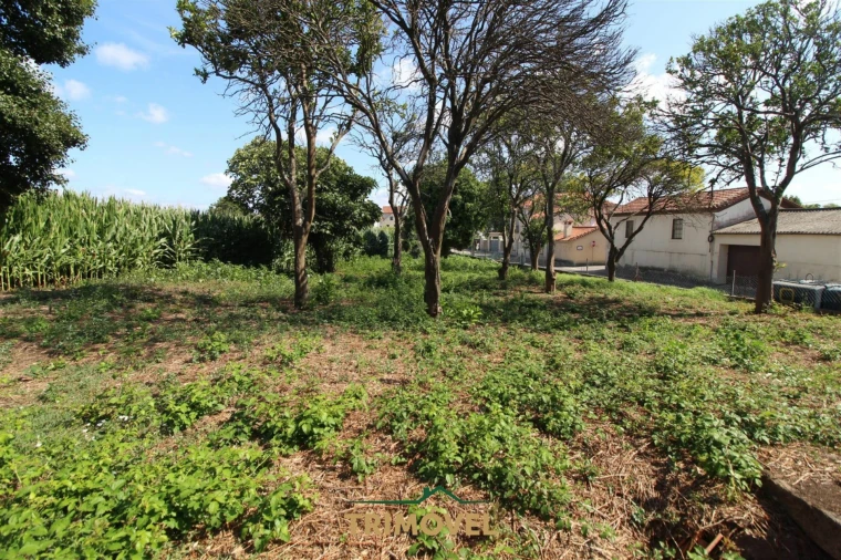 Terreno para Venda em Valega Foto 13