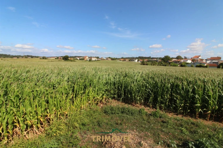Terreno para Venda em Valega Foto 17
