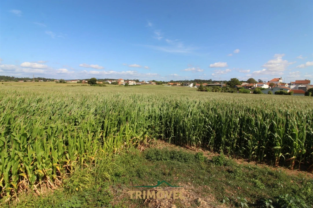 Terreno para Venda em Valega Foto 17