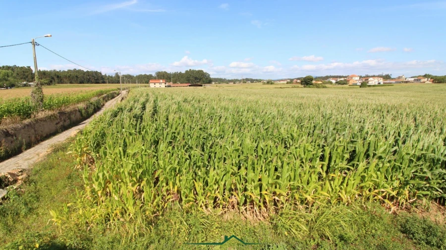 Terreno para Venda em Valega