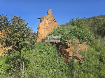 Terreno Agricola ou Rústico para Venda em São Barnabe