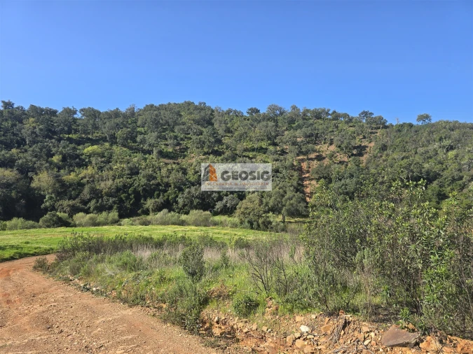 Terreno Agricola ou Rústico para Venda em São Barnabe Foto 19
