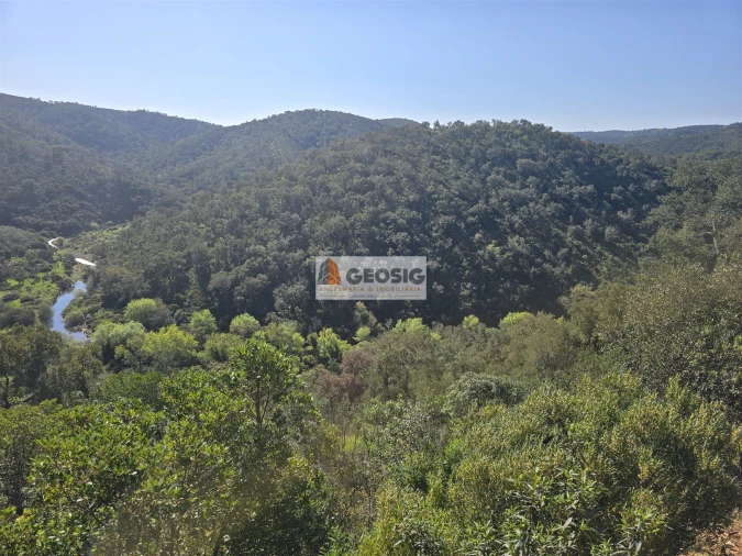 Terreno Agricola ou Rústico para Venda em São Barnabe Foto 15