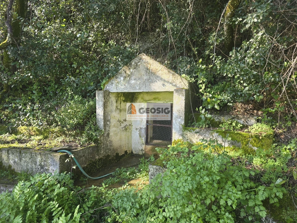Terreno Agricola ou Rústico para Venda em São Barnabe Foto 8
