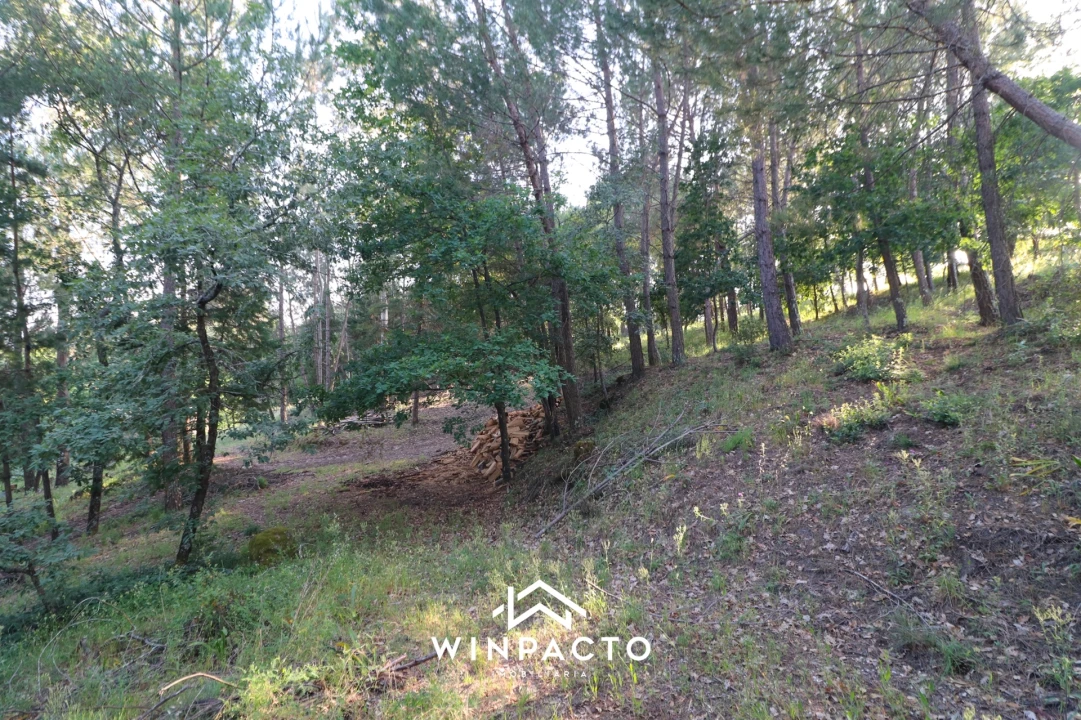 Quinta T0 para Venda em Currelos, Papízios e Sobral Foto 27