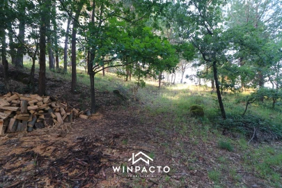 Quinta T0 para Venda em Currelos, Papízios e Sobral