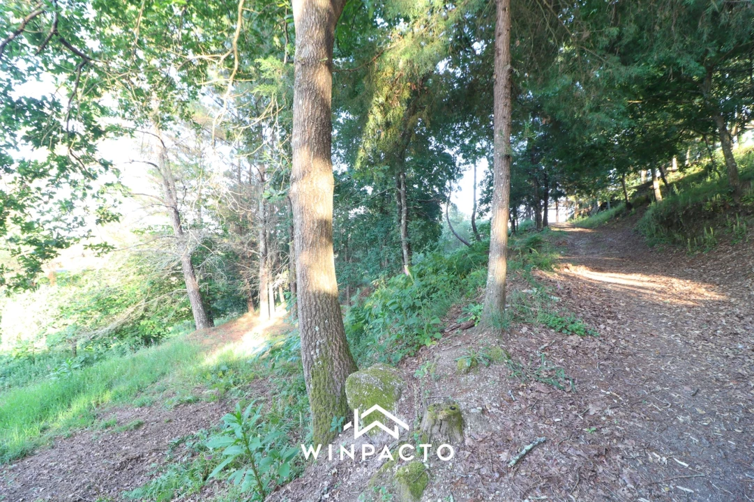 Quinta T0 para Venda em Currelos, Papízios e Sobral Foto 13