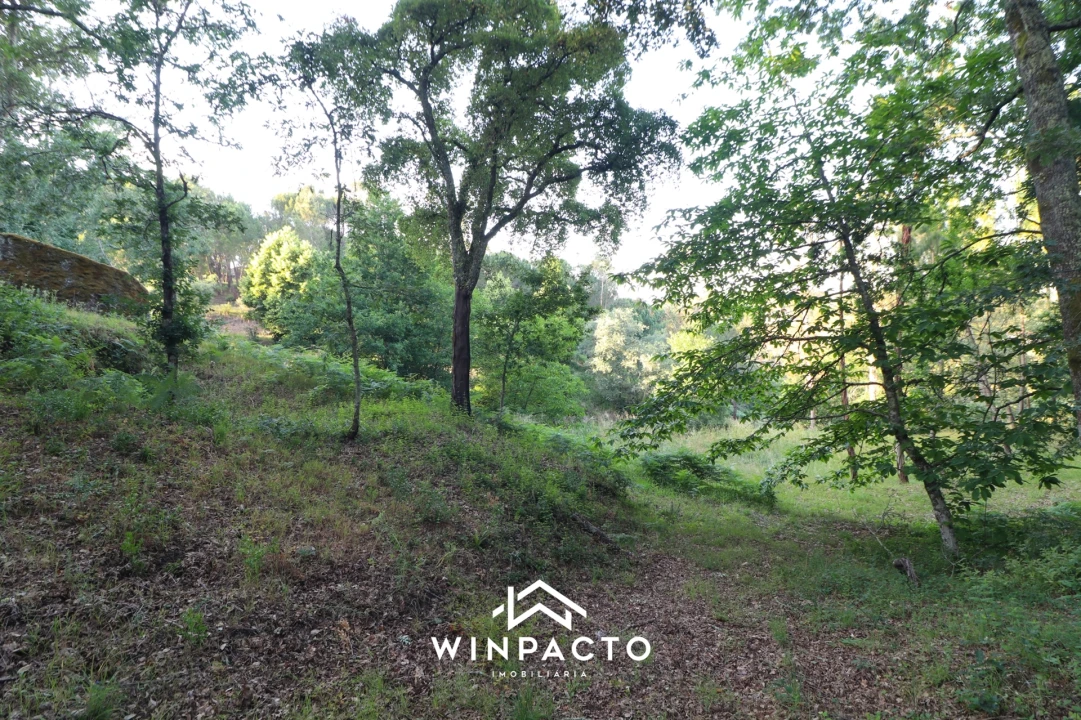 Quinta T0 para Venda em Currelos, Papízios e Sobral Foto 14
