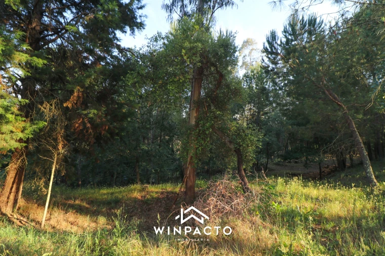 Quinta T0 para Venda em Currelos, Papízios e Sobral Foto 26