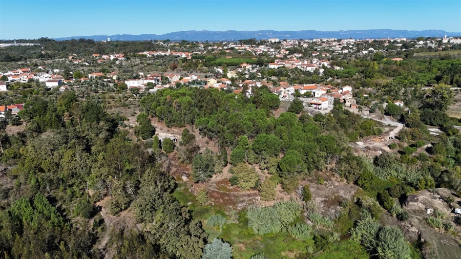 Quinta T0 para Venda em Currelos, Papízios e Sobral Foto 32