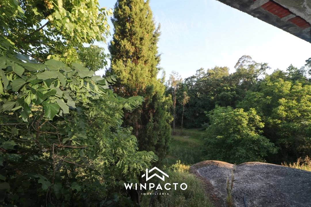 Quinta T0 para Venda em Currelos, Papízios e Sobral Foto 4