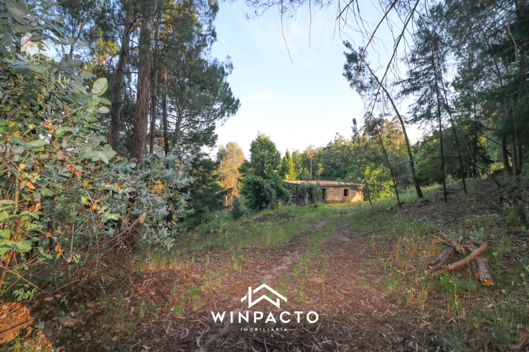 Quinta T0 para Venda em Currelos, Papízios e Sobral Foto 3