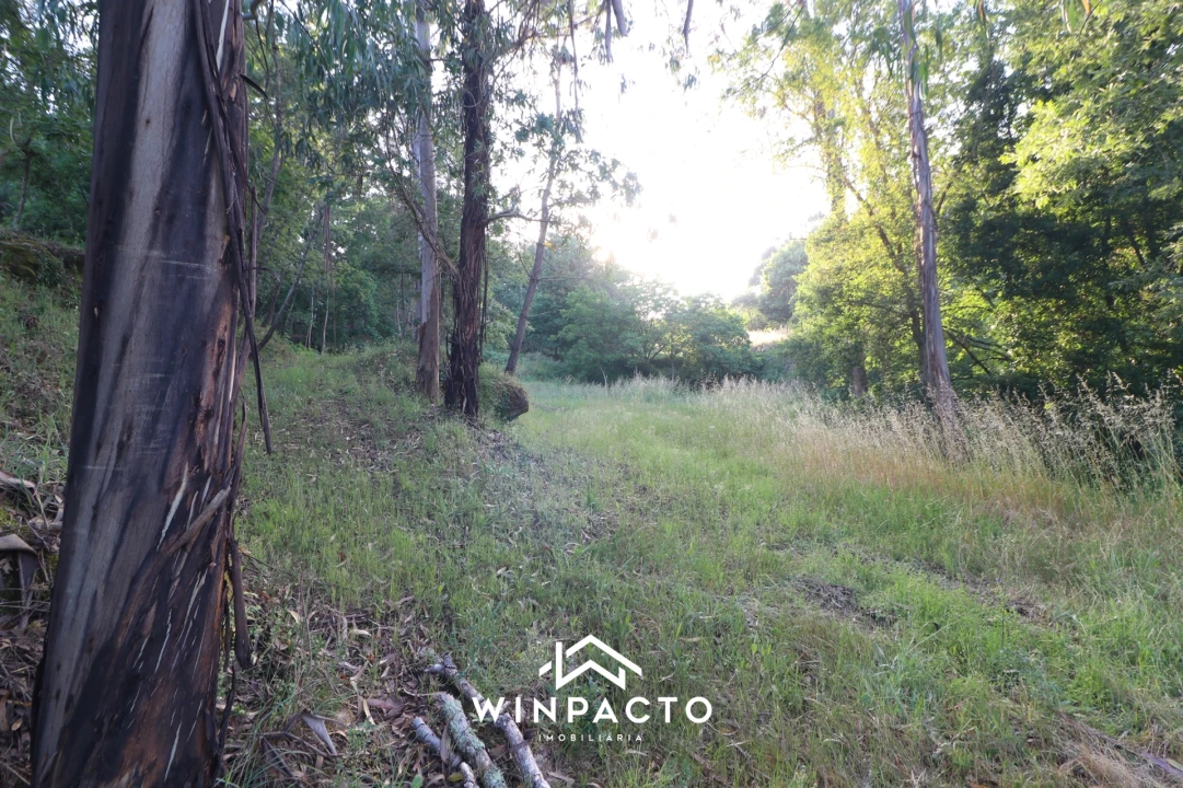 Quinta T0 para Venda em Currelos, Papízios e Sobral Foto 17