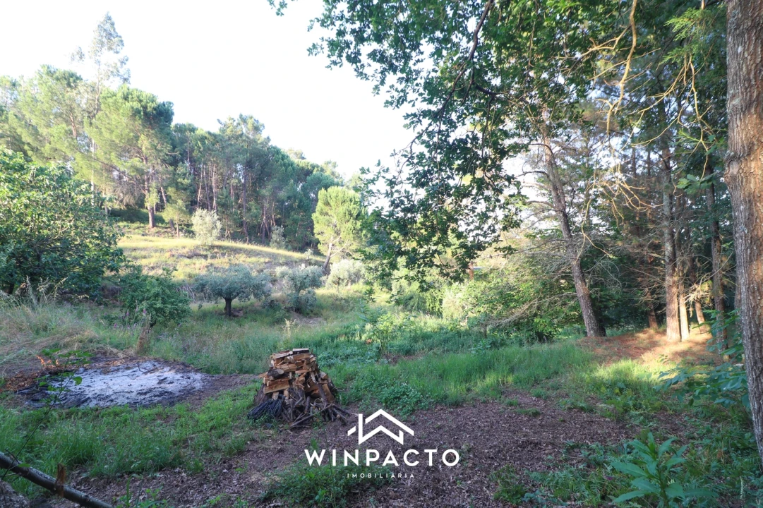 Quinta T0 para Venda em Currelos, Papízios e Sobral Foto 12