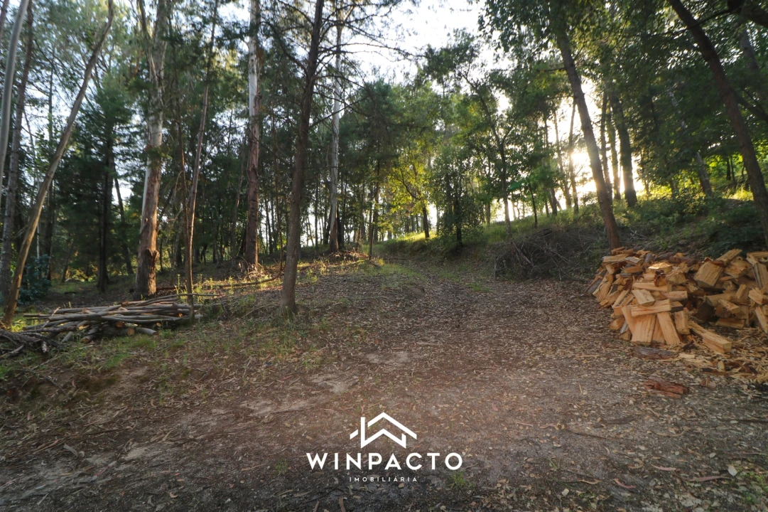 Quinta T0 para Venda em Currelos, Papízios e Sobral Foto 1