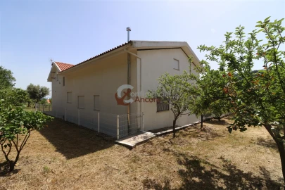 Moradia T7 para Venda em São Paio