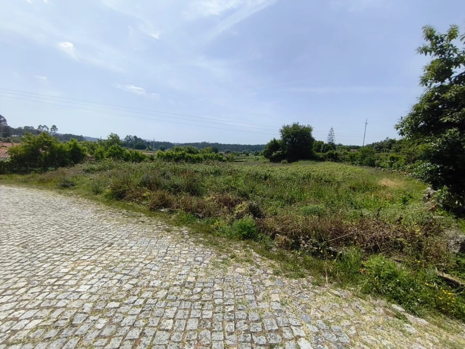 Terreno para Venda em Palmeira de Faro e Curvos Foto 1