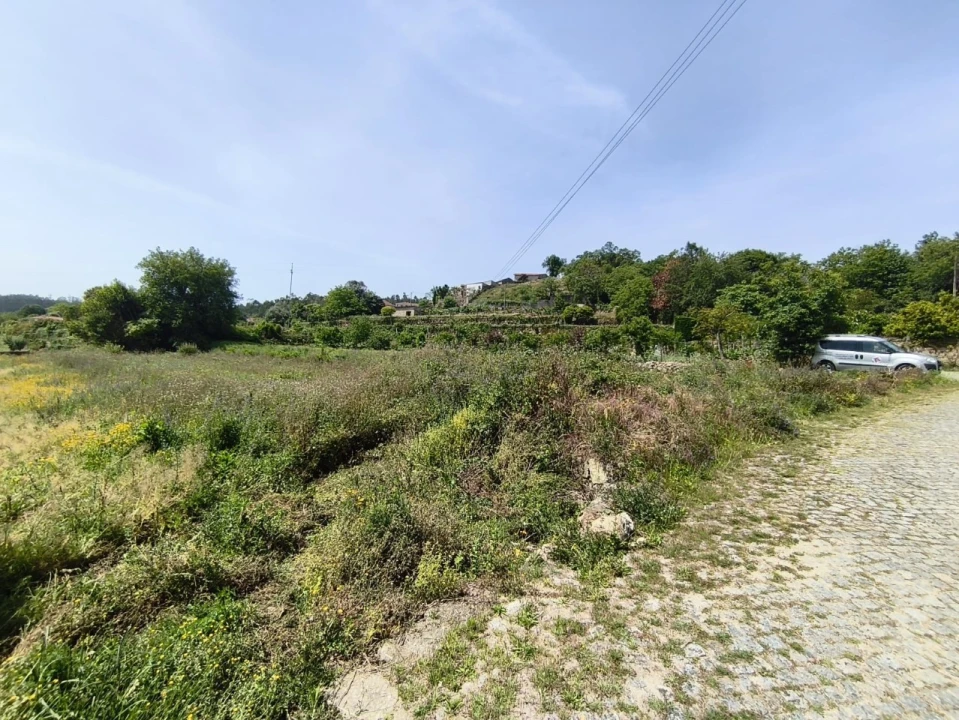 Terreno para Venda em Palmeira de Faro e Curvos Foto 2